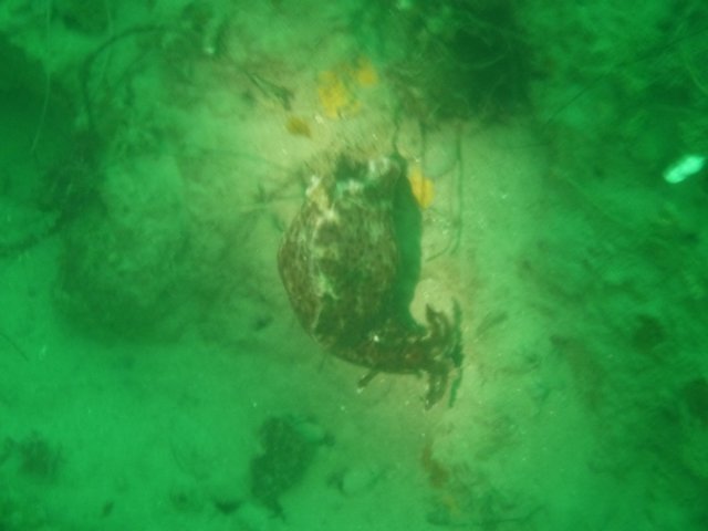 p1010282.jpg