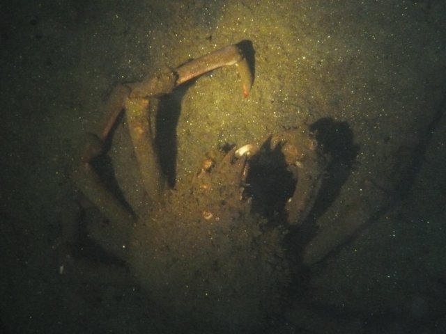 p1010292.jpg