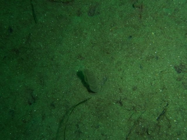 p1010312.jpg