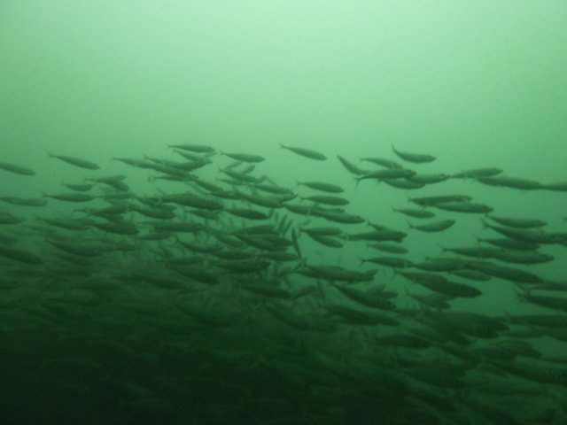 p1010316.jpg