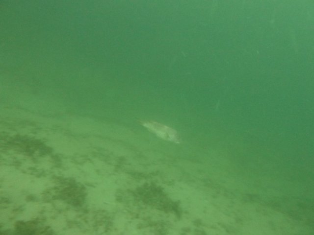 p1010343.jpg