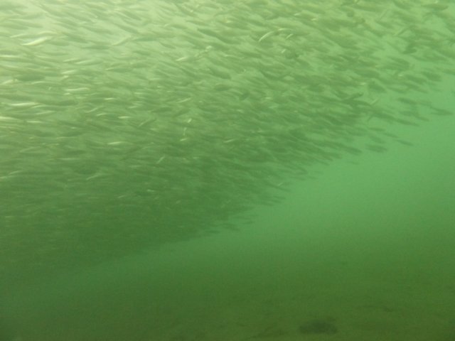 p1010349.jpg