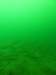 p1010356_small.jpg