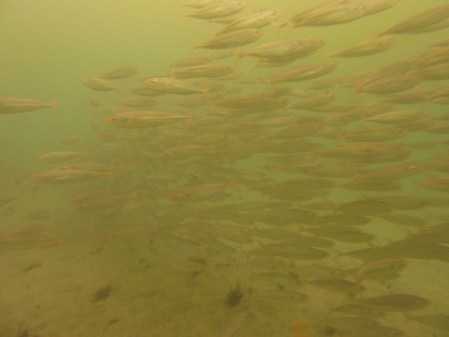 p1010361.jpg