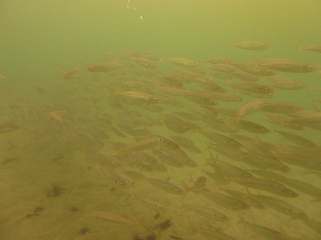 p1010362.jpg