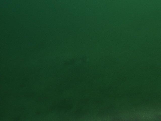 p1010376.jpg