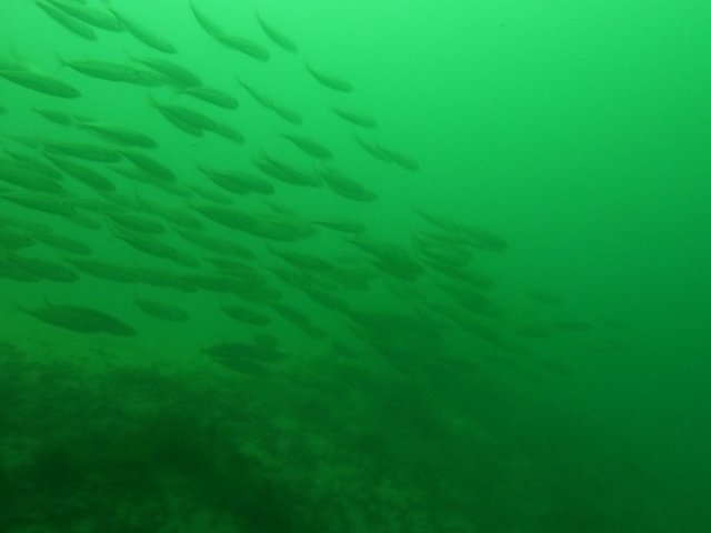 p1010384.jpg