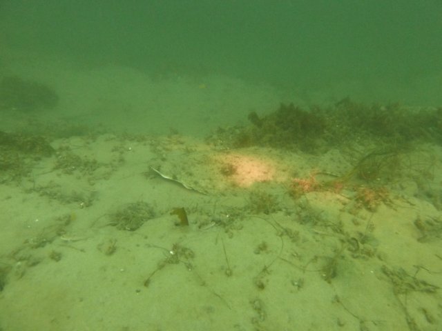 p1010344.jpg