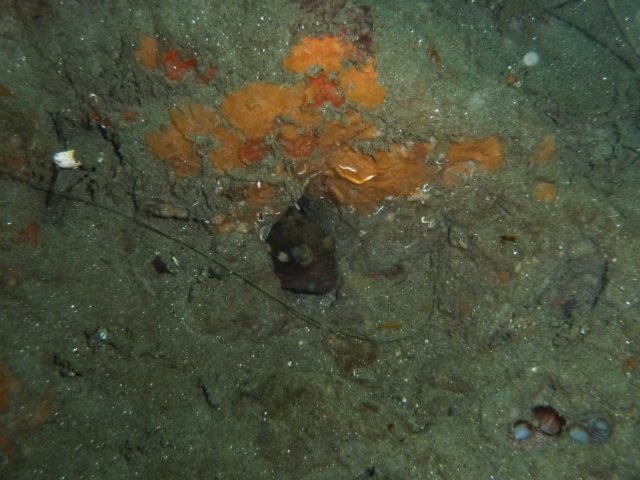 p1010373.jpg