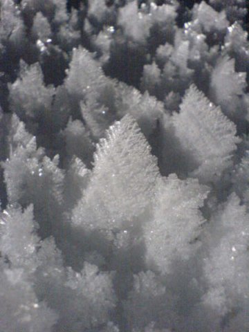 neukirchen20064.jpg