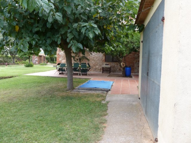 p1040623.jpg