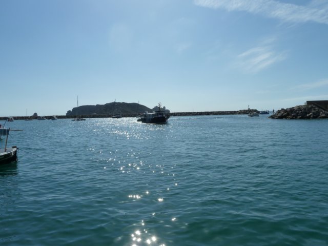 p1040642.jpg