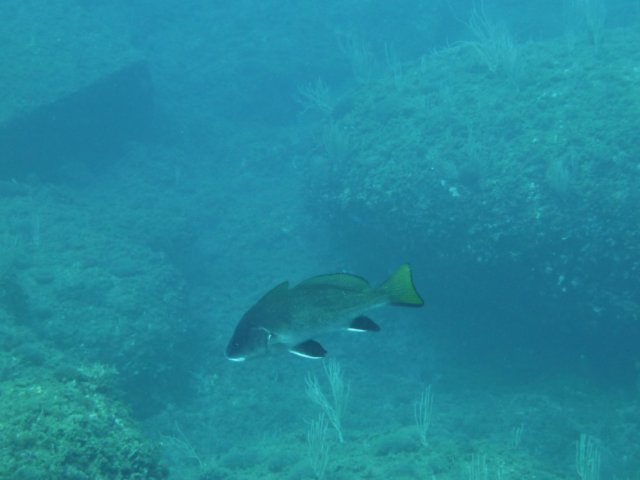 p1050089.jpg