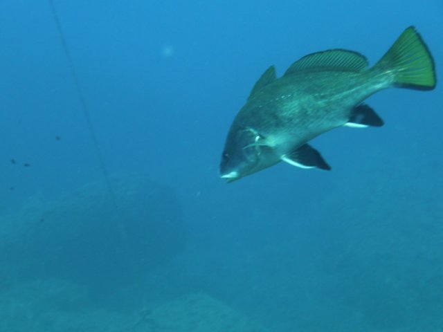p1050091.jpg