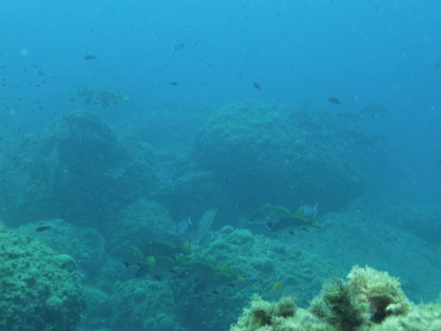p1050093.jpg