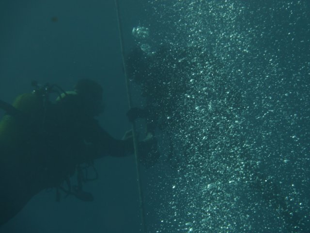 p1050095.jpg