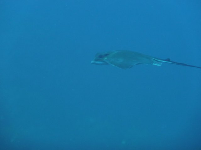 p1050106.jpg