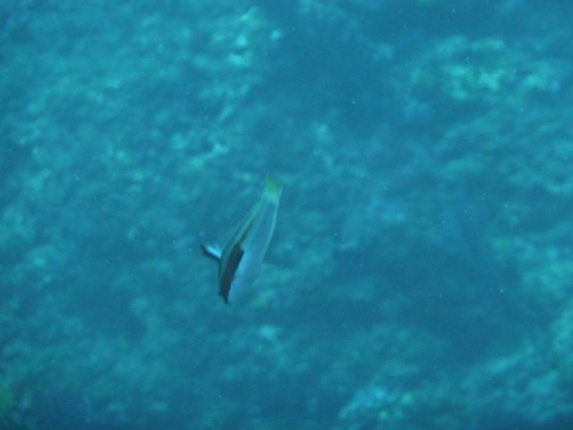 p1050116.jpg