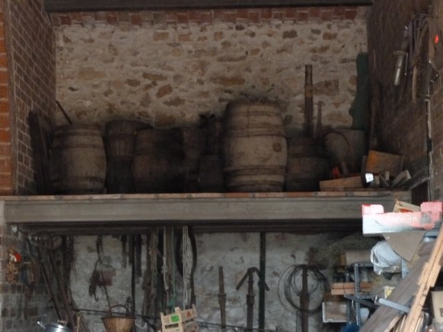 p1050183.jpg