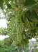 p1050223_small.jpg